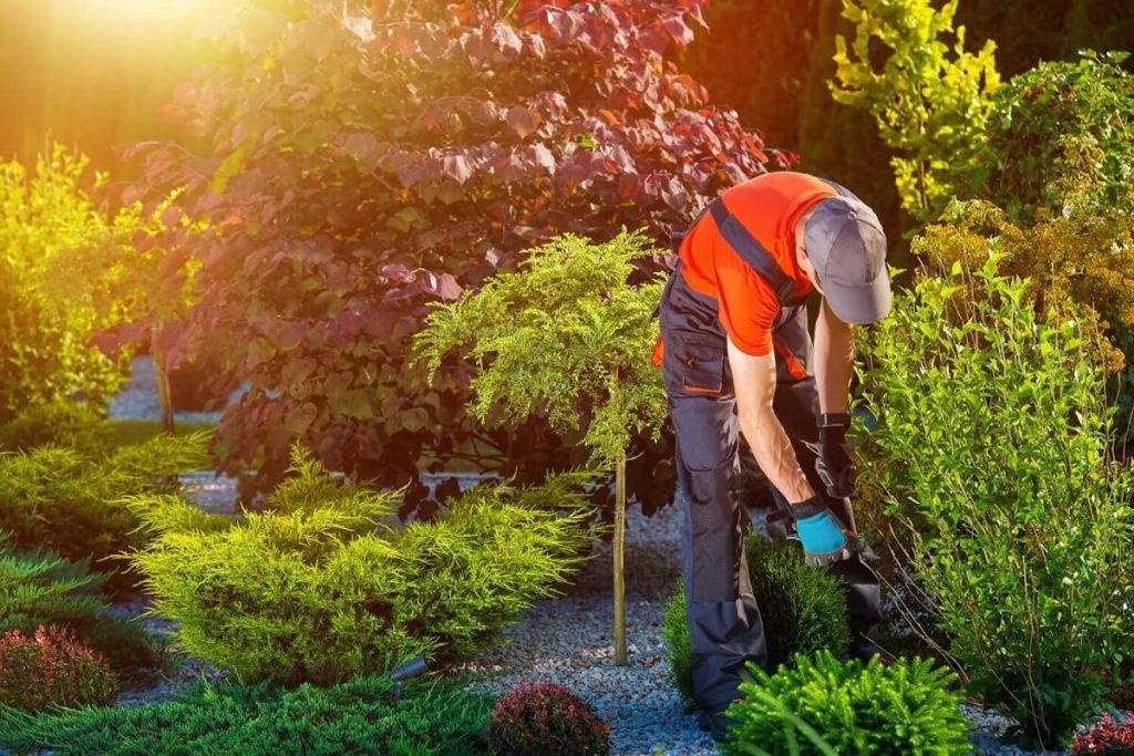 Landscaping Contractor