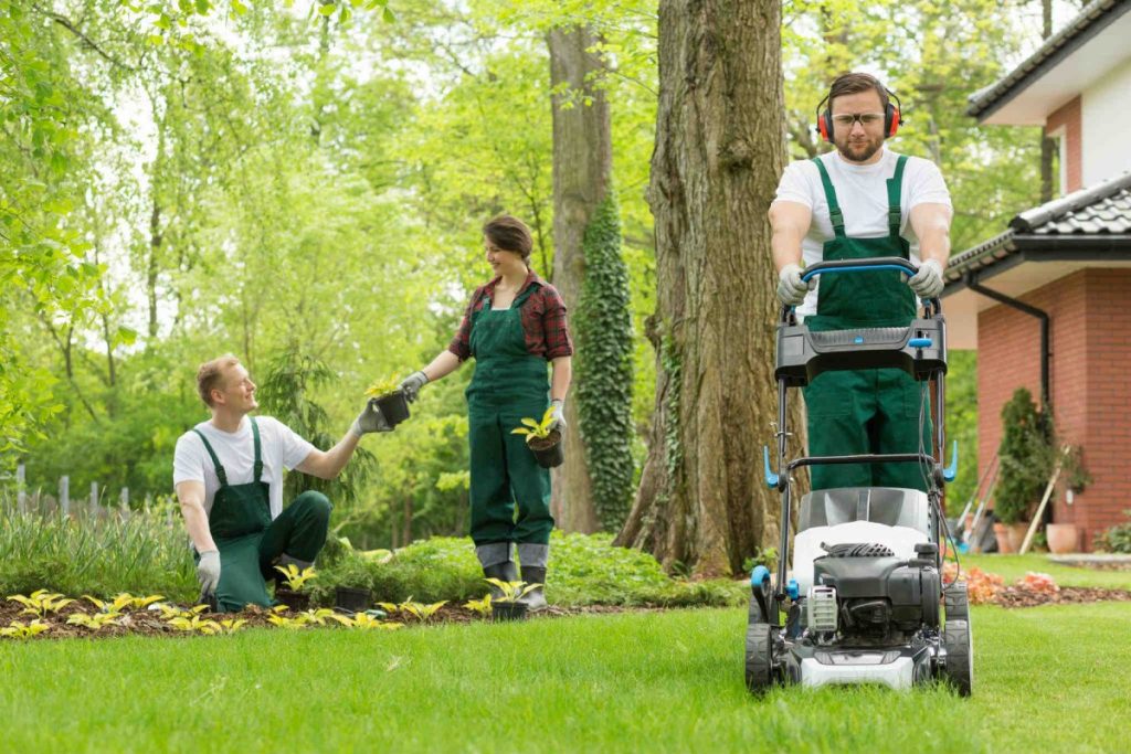 Residential Landscaping