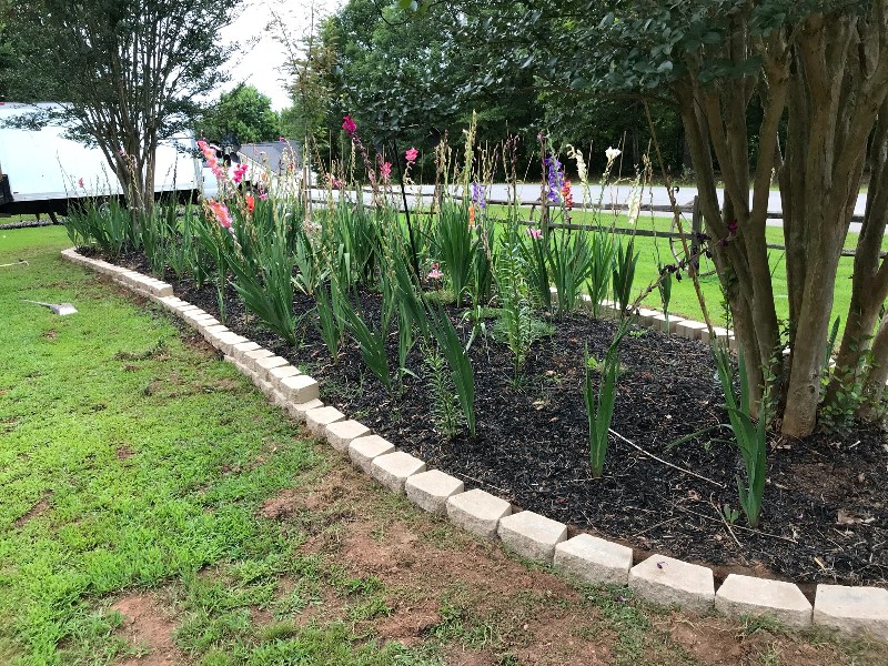 Landscaping in Oakwood, GA Landscaping in Oakwood, GA